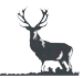 NZ Red Deer Sales